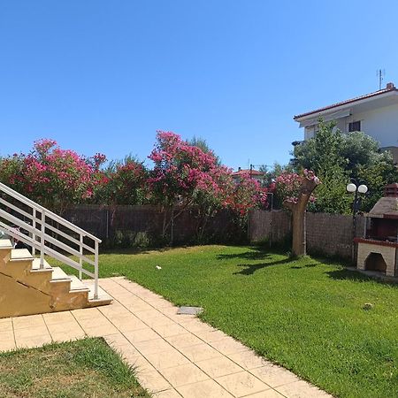 Dimar1 Seaside Apartment Паралия Дионисиу Екстериор снимка