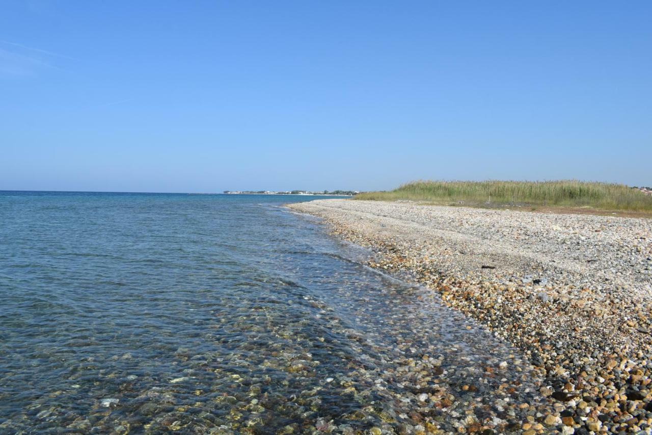 Dimar1 Seaside Apartment Паралия Дионисиу Екстериор снимка