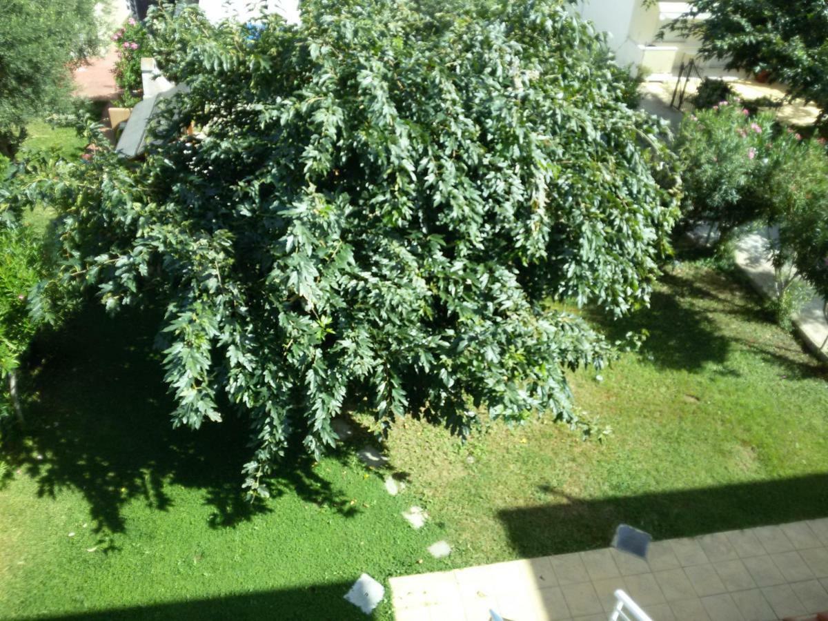 Dimar1 Seaside Apartment Паралия Дионисиу Екстериор снимка